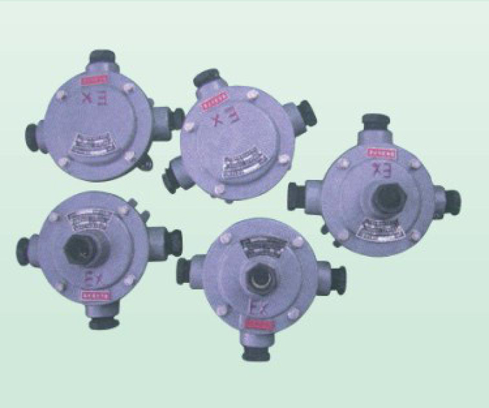 HYCdx船用防爆分线盒